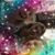 Charice Markowitz's profile image