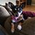 Bonnie August Huffield's profile image