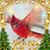 Linda M Windle's profile image