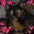 Kim Ferebee Elmore's profile image