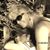 Elaine Robb Beckwith's profile image