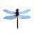 Ruth Honan's profile image