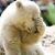 Ken Groth's profile image
