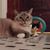 Sara Worsham's profile image