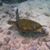 Dori Field's profile image
