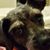 Linda Marsh Bitz's profile image