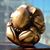 Claire Brandau's profile image