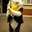 Eagle Beagle's profile image