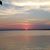 Pat Vasser Bowen's profile image