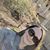 April Rena Rose's profile image