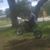 Ezekiel David Parisi's profile image