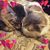Lori Baca's profile image