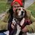 Michele Birkner's profile image