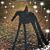 Stephanie Gernert's profile image