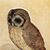 Tanager Lane's profile image