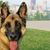 Sue Wargo Bodziach's profile image