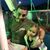Steve Colman's profile image