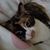 Catherine Barranon's profile image