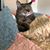 Samantha Woolsey's profile image