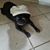 Patty Merritt's profile image
