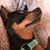 Sara Leazenby's profile image