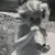 Necy Leach's profile image