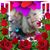 Debra Guinn's profile image
