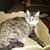 Rebecca Marie Kull's profile image