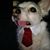 Kasey Strick-Taylor's profile image