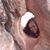 Rachel Streng's profile image