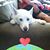 Mark Treinen's profile image