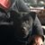 Tammy M. Barnhart's profile image