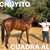 J Carlos Orozco's profile image