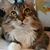 Deborah Govenor's profile image