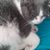 Patricia O'Connor's profile image