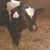 LaRue Smith's profile image
