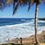 Sonia Nieves's profile image