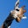 David Jenks's profile image