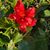 Lindsey Jones Keske's profile image