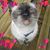 Nicole Arnold's profile image