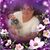 Christine Ann Layne Hoback's profile image
