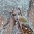 Arlene McKinlay Stobinski's profile image
