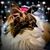 Sara Joy Riek's profile image