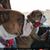 Jacki May-Mitsch's profile image