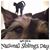 Candace Carr's profile image