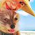 Ariane Price's profile image