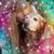 Joanne Schmalenberger's profile image