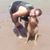 Trey Sullins's profile image