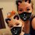 Brittany David's profile image
