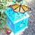 Jayne Durkee Ianno's profile image